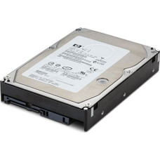 HP Dysk serwerowy HP 3TB 3.5'' SAS-2 (6Gb/s)  (713831-B21)